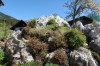 Triglav